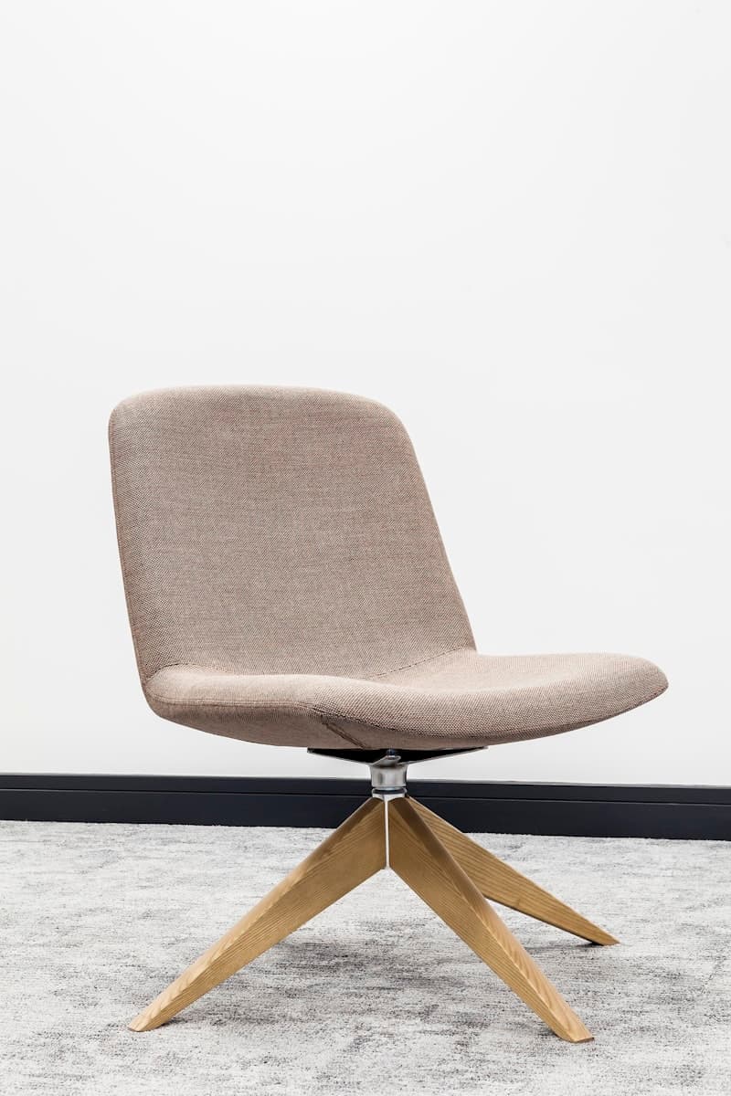 Ergonomic Office Chair